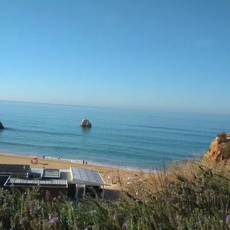 Albur Village B - Camomile Alvor
